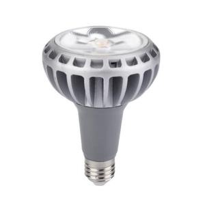 Wholesale high quality CRI80 COB E27 5500k led lights par30 18w 28w warm white from china suppliers