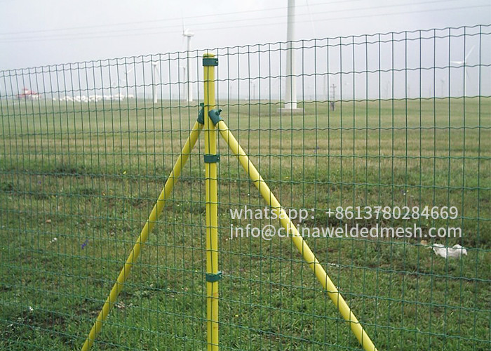 RAL6005 Welded Wire Mesh Rolls Green PVC Coated Holland Wire Fence
