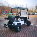 OEM Mini Aetric 2 Seater Golf Cart 30mph With Lead Acid Battery
