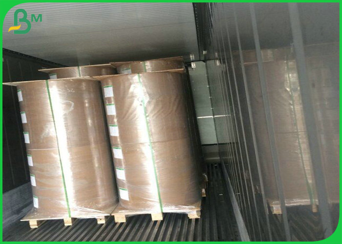 pe coated white kraft paper
