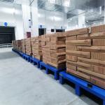 A01: Plastic Spraying Steel Pallet Single Deck Steel Pallet Metal Pallet