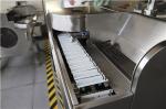 Efficient Cnc Shrimp Processing Equipment Fully Automatic Peeling