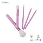 Nylon Hair Makeup Brushes Collection 5Pcs Travel Cosmetic Brush Set