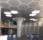 462x462x462x462x462x462 Perforated Aluminum Metal Ceiling Hexagonal Ceiling Tile