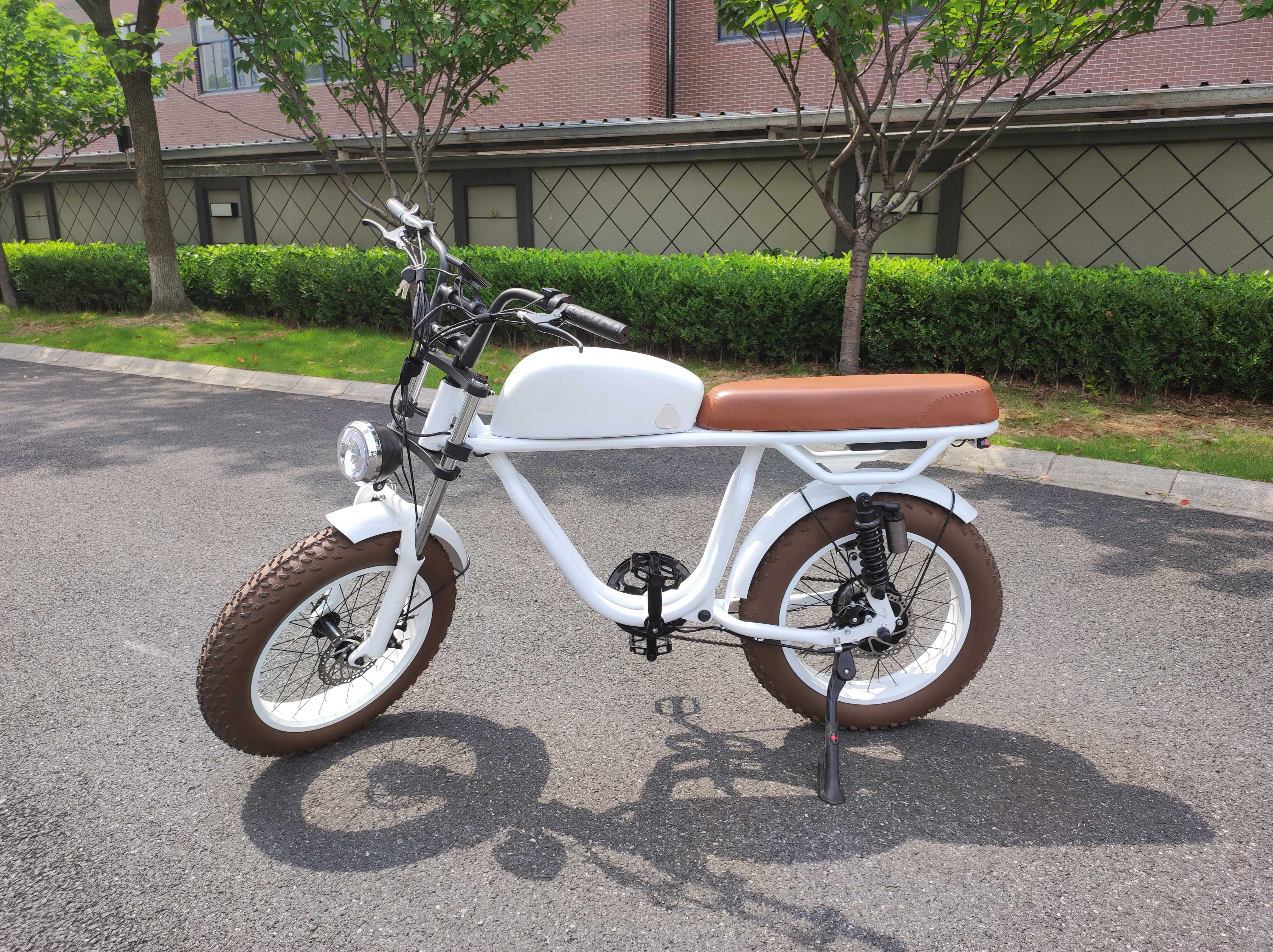 Vintage Moto Style Electric Bike 48V Battery 750W 1000W Motor 7 Speed 20" Tire Ebike