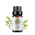 100ml Massage Essential Oils MSDS Cajeput Essential Oil Skin Benefits