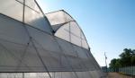 Sainpoly Multi Span Greenhouse Agricultural / Commercial / Industrial Plastic