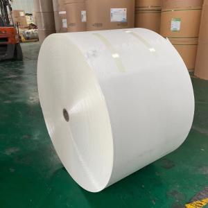 Wholesale Ivory Polyethylene Coated Kraft Paper 300g 330g Polythene Paper Roll from china suppliers
