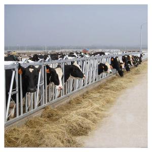 Wholesale Anti Corrosion Thickness 3mm Cow Head Lock Dairy Feeding Equipment from china suppliers