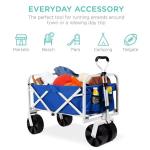 Collapsible Outdoor Garden Park Utility Folding Kids Wagon Portable Beach
