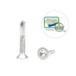 Installation 5.5x32 Stainless Steel Torx Csk Head Tek Screw for Fastening Timber