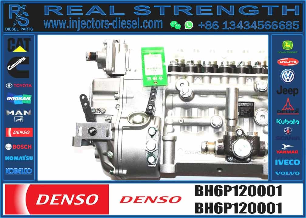 New Diesel Fuel Injector pump 612600081228 612600081228 BHT6P120R TRQV-K300-1100P for WEICHAI618.42Q 6P1191 BH6P120015