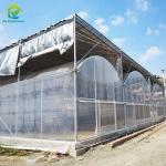 UV Resistant Plastic PE Film Tunnel Fruit Agricultural Greenhouse