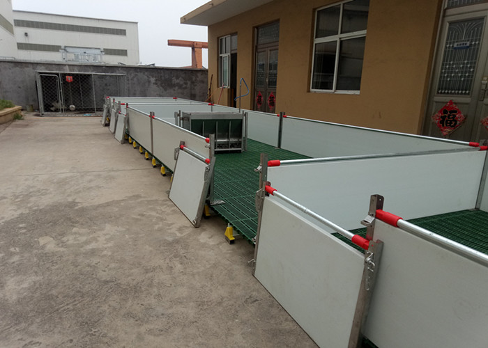 Customized Size Pig Farm Equipment Farrowing Crate For Sow / Piglet High Performance