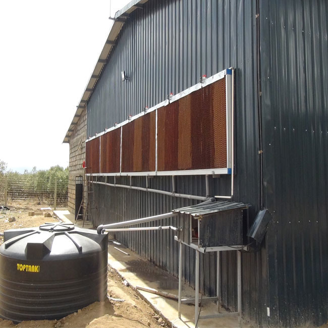Layer Chicken Cage And Automatic Egg Collection Poultry Farm House Equipment