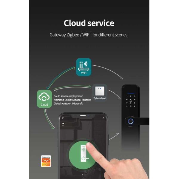 Bronze Tuya Smart Door Lock 5VDC Electronic Entry Door Locks For Home
