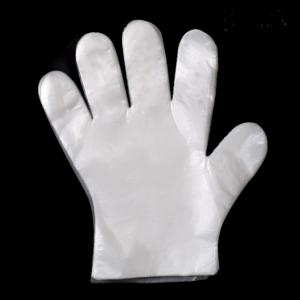 Wholesale Professional Large Disposable Gloves Food Service / Plastic Gloves For Food Preparation from china suppliers