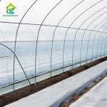150 Micro Strawberry Greenhouse Cover Materials 88% Transmittance PE Plastic