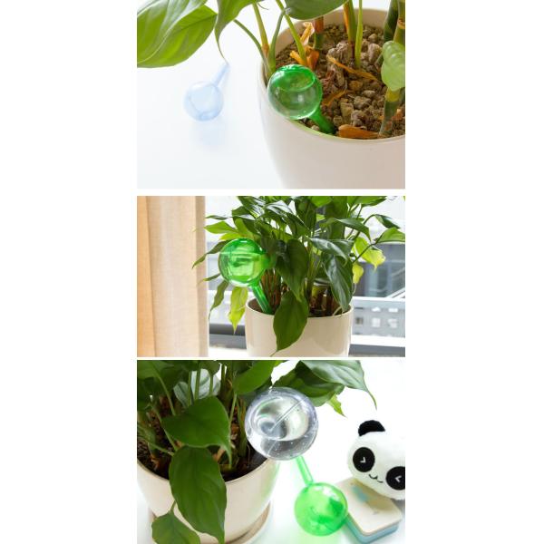 8cm Dia 25.5cm PVC Plastic Self Watering Plants Instruments Globes