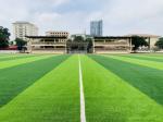 55mm Artificial Grass Sports Flooring For Soccer Football Ground