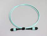 GR-1435-CORE MPO SC MPO LC Fiber Jumper Cables