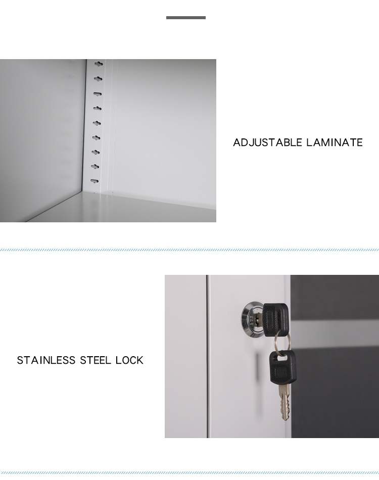 2 Doors Document Storage Cabinets