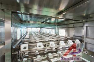 Wholesale Recycle Bottle 5 Gallon Drinking Water Production Line Filling Capping Machine from china suppliers