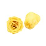 Decorative Preserved Flower Heads , Beautiful Rose Flower Heads Multiple Color