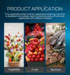 Commercial Vegetable Washing Machine And Sustainable Cleaning Restaurant Food