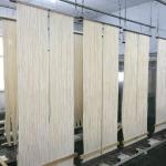 Sewage Treatment Mbr Flat Sheet Membrane with Free Spare Parts at Manufacturing