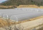 Hot Dip Galvanized Area Ecological Agricultural Greenhouse Plastic Film