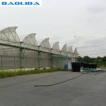 Vegetable Growing Tunnel Multi Span Greenhouse Plastic Film Material