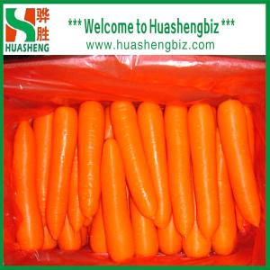Wholesale Fresh carrot from china suppliers