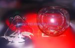 Kitchen Glass Caviar Server , Round Shaped Caviar Plate Plus Bowl For Ice