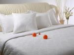 High Fill Power Luxury Household Cute/Cartoon Goose Down Pillows