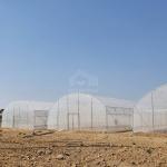 Custom Tunnel Greenhouse 8x30m Agricultural Greenhouse Kit For Planting