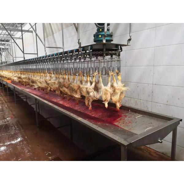 Complete Chicken Slaughtering Line 500-10000bph Slaughterhouse Poultry Killing Equipment