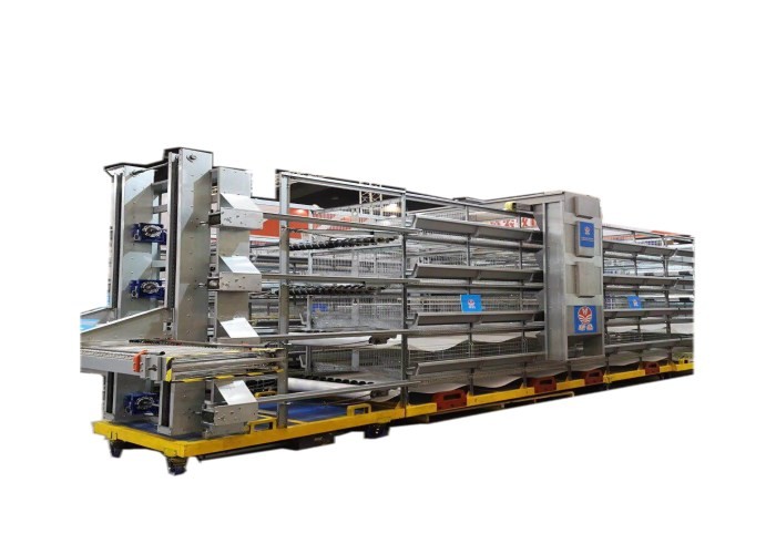 Automatic Chick Rearing Cage Chicken Cage For Laying Eggs 15-20 Years Lifespan