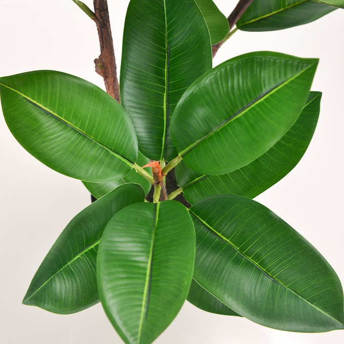Artificial Potted Floor Plants Small Ficus Pandurata For Garden Decoration