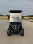 4+2-Seater Black Electric Off-Road Luxury Golf Cart Lithium Battery Equipped