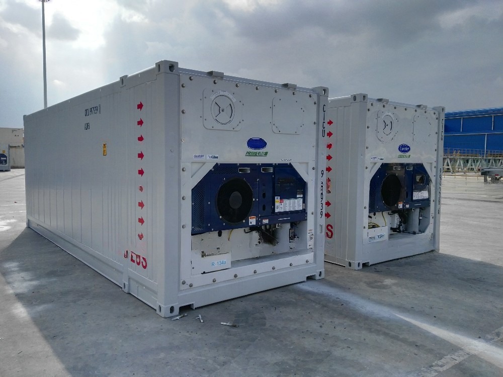 Customized Dimension 23ft BV Certified Refrigerator Storage Container -30- 30C Temperature Range 380/440V