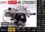 Fuel Injection Pump 294000-1370 294000-1372 294050-0850 294000-2360 294000-3030