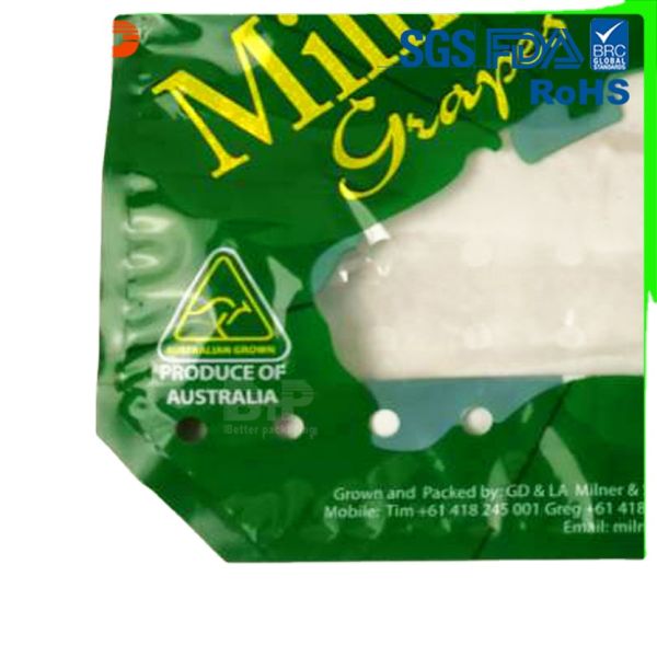 Custom High Quality Zip Lock Plastic Bags for Fresh Food Storage Pouch Logo Printing Food Packaging