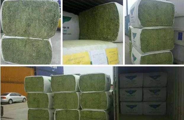 Biodegradable Woven Hay Bale Packing Cloth Non Toxic Mulituse 60 Gsm - 110 Gsm