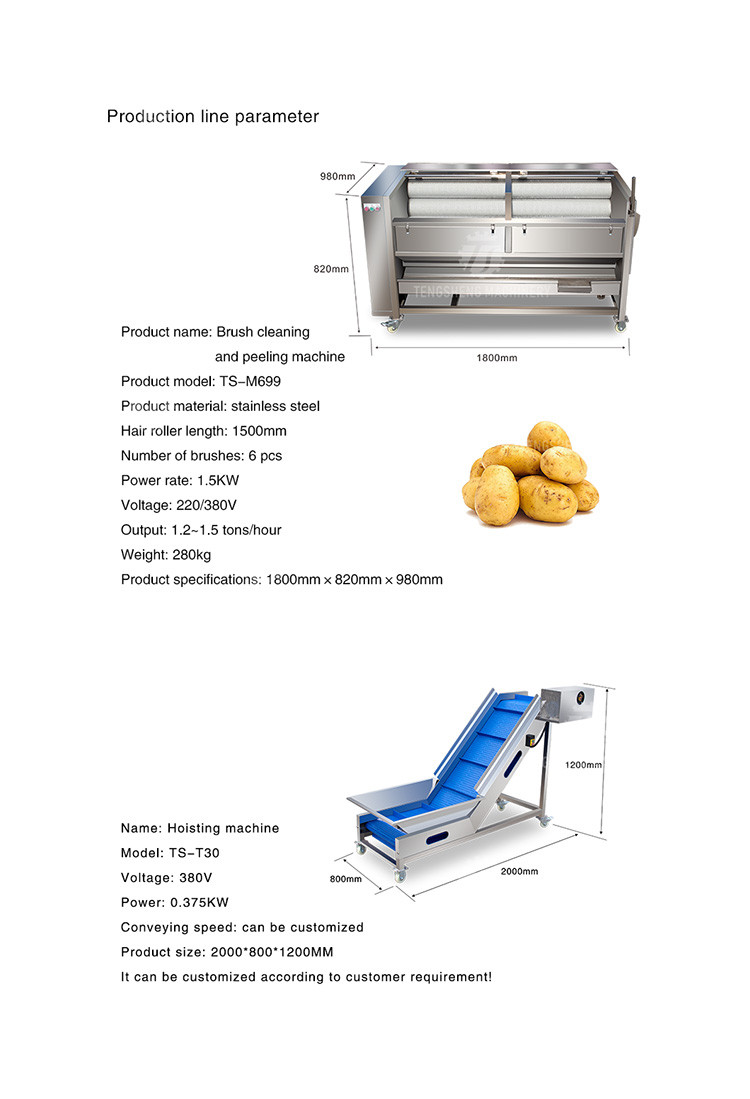 1.5 Tons / Hour Fruit And Vegetable Processing Line Root Brush Washing