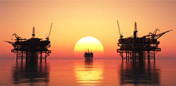 Atex Approval 2MP 1X Explosion Proof Anti-Corrosion PTZ IR Dome IP CCTV Camera