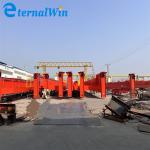 Industrial Used Good Price Factory Electric Euro Type Hoist Single Girder Gantry