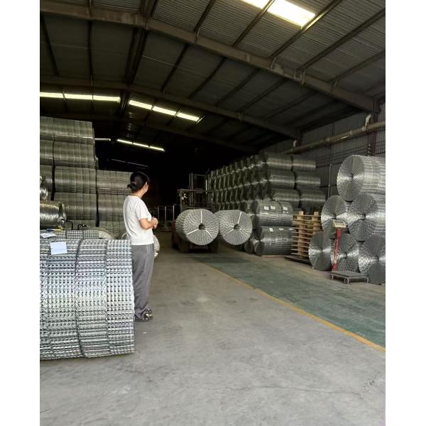 Wire Diameter 2.0 X 2.6mm Hot Dip Galvanized Wire Pipeline Reinforced Mesh For Everglades Gas