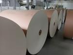 Scratch Resistant 190G Bristol Card Paper
