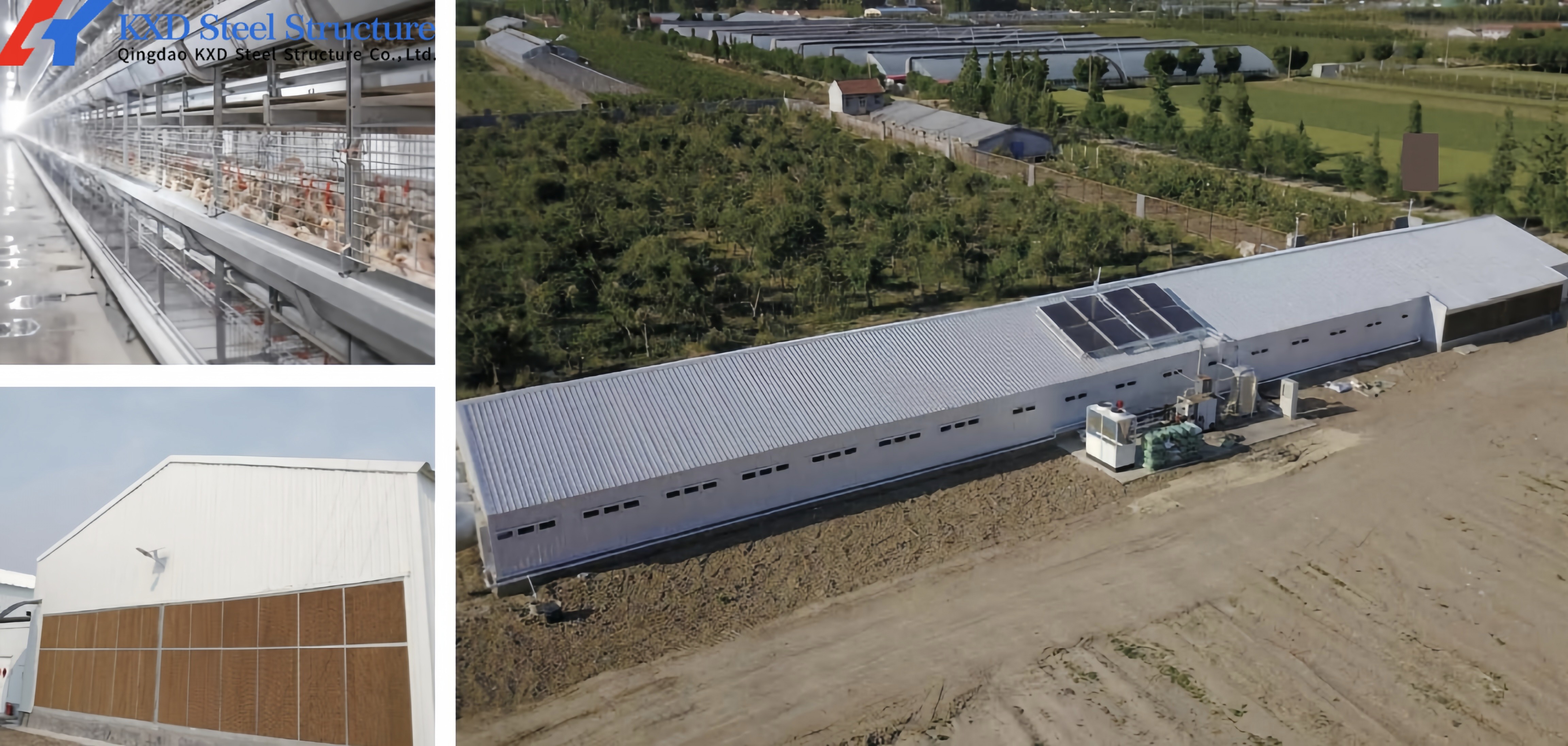 KXD Broiler Poultry Equipment Automatic Poultry Farm Plastic Slatted Flooring